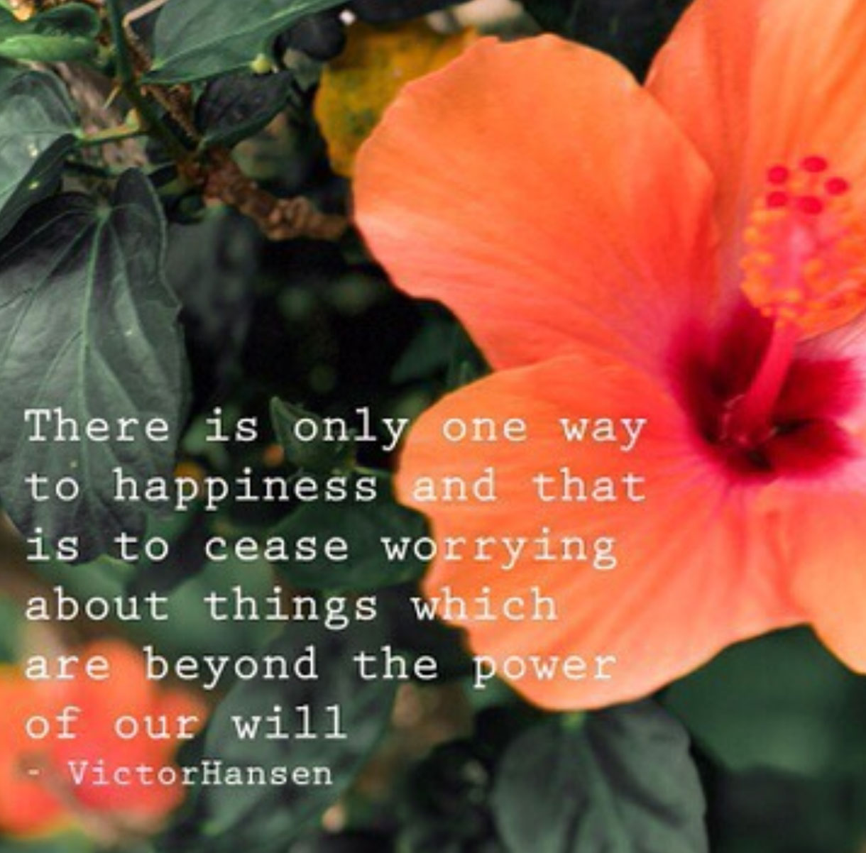 change worry lines to laugh lines