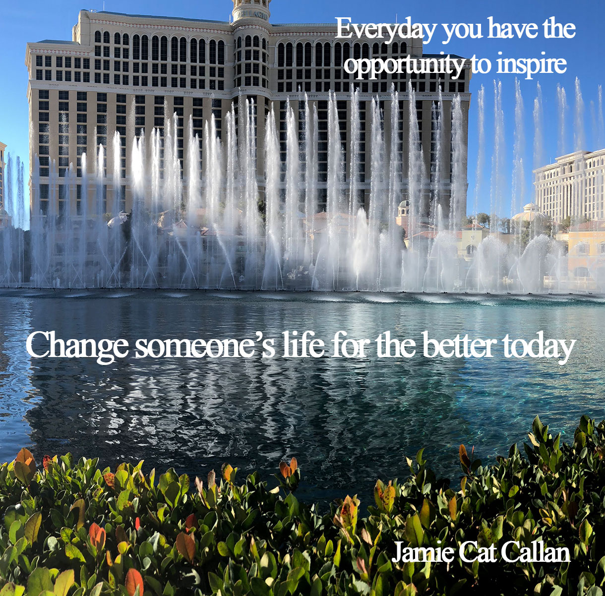 opportunity to inspire