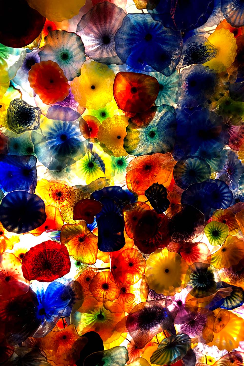 just do it flower background