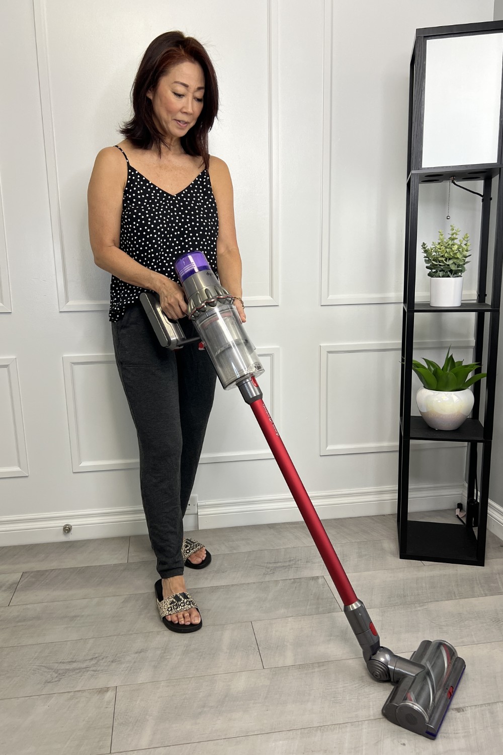 Dyson vacuum handheld